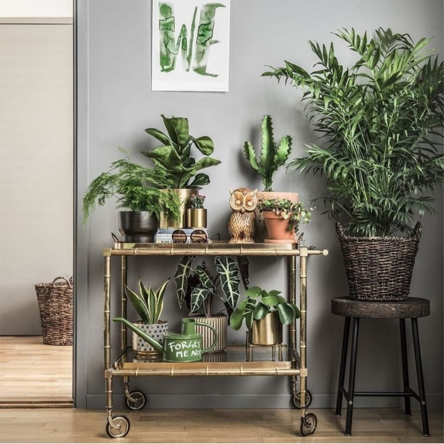 Урбан Джангл стиль