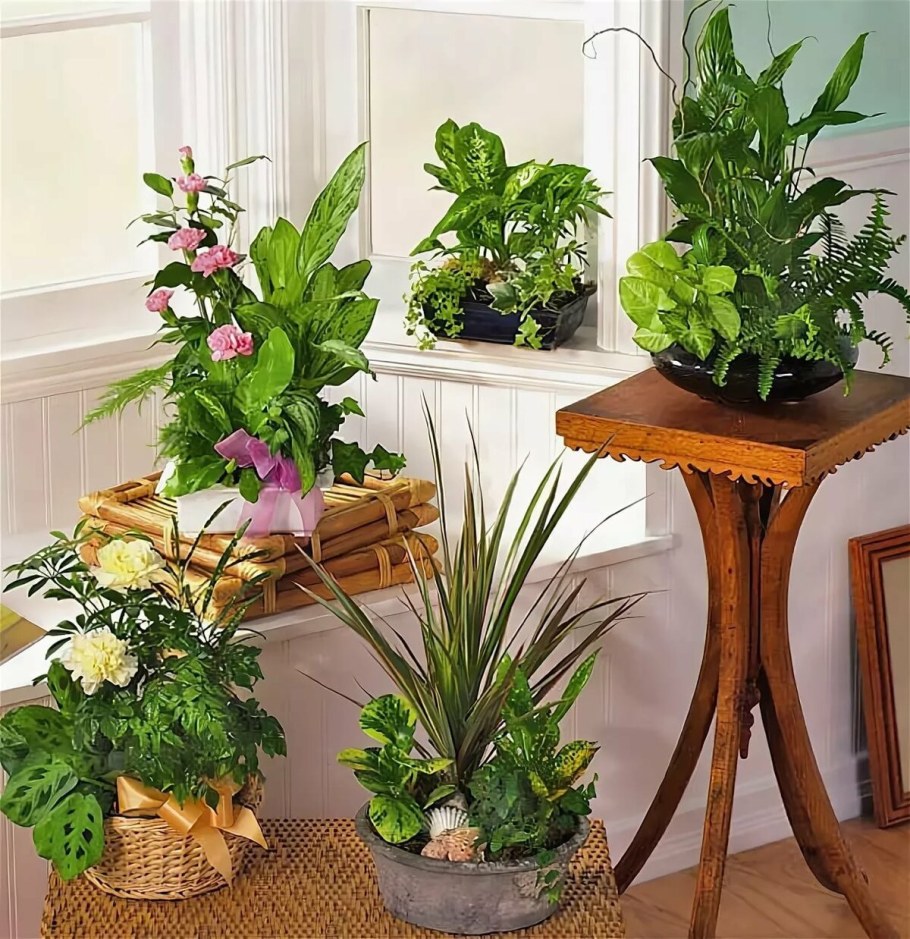 Пот-э-Флер Цветущий горшок