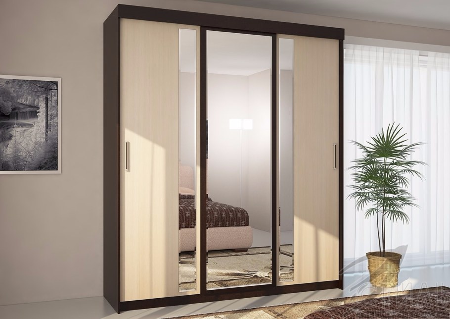 Шкаф-купе комфорт 9