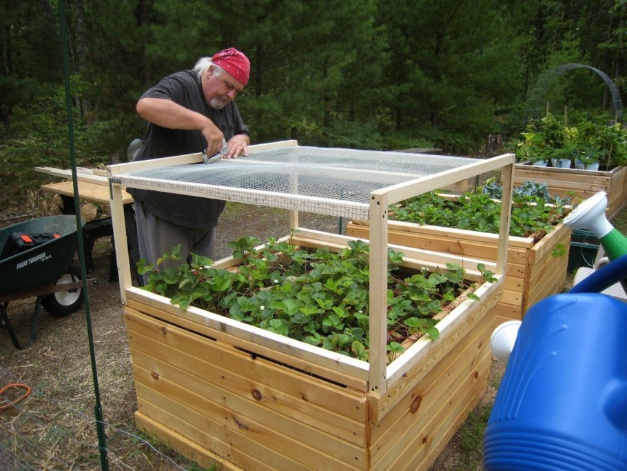 Дачные хитрости