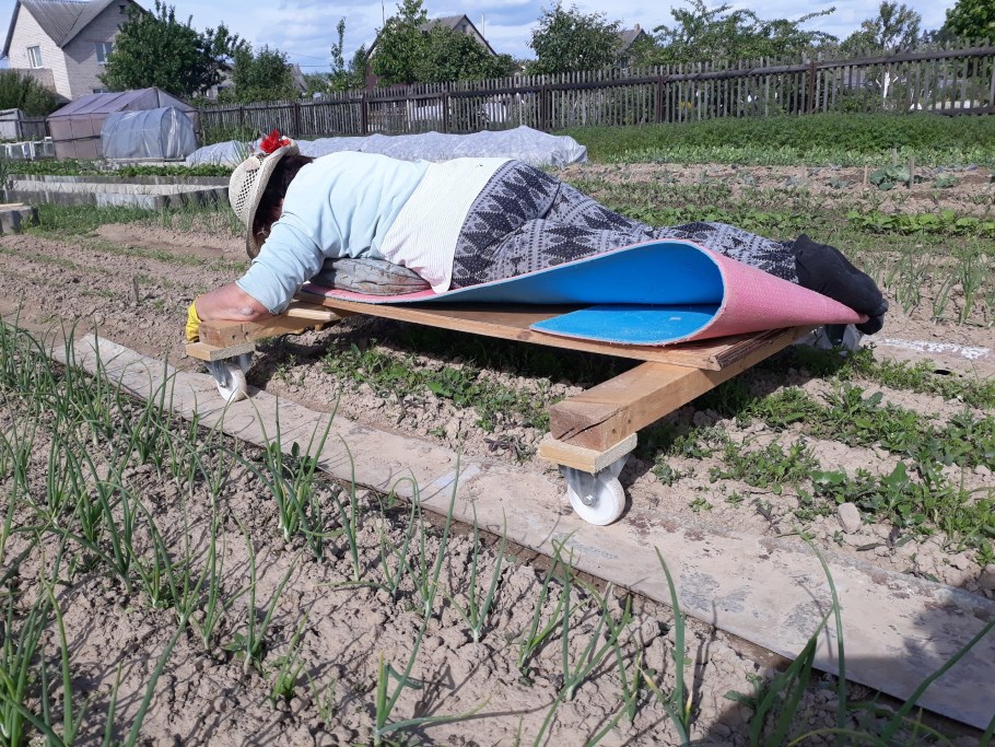 Придумки для сада