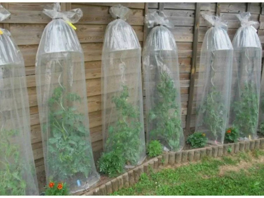 Пластиковые бутылки в огороде