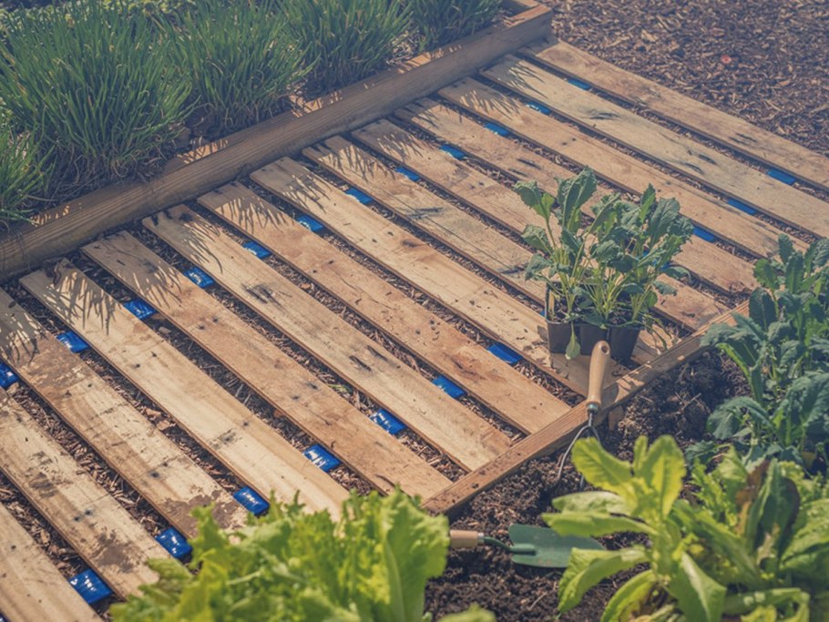 Дорожки между грядками