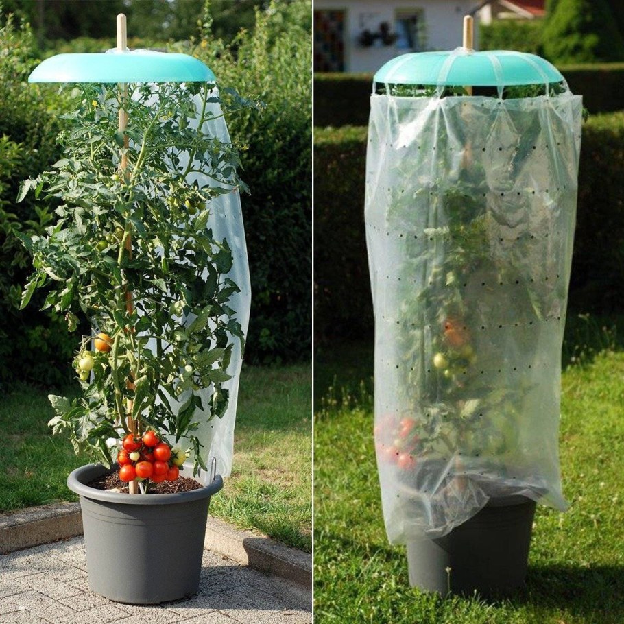 Интересные идеи для дачи