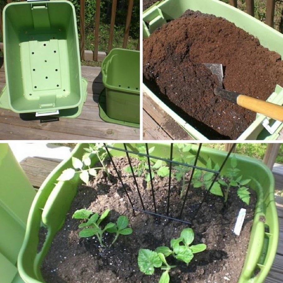 Дачные хитрости для сада