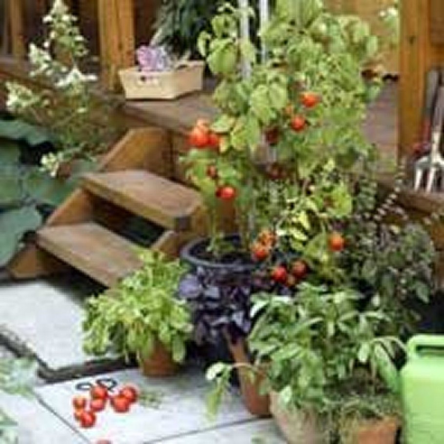 Дача сад огород