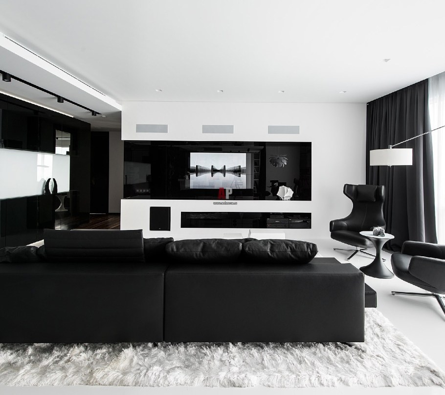 Гостиная в черно белых тонах