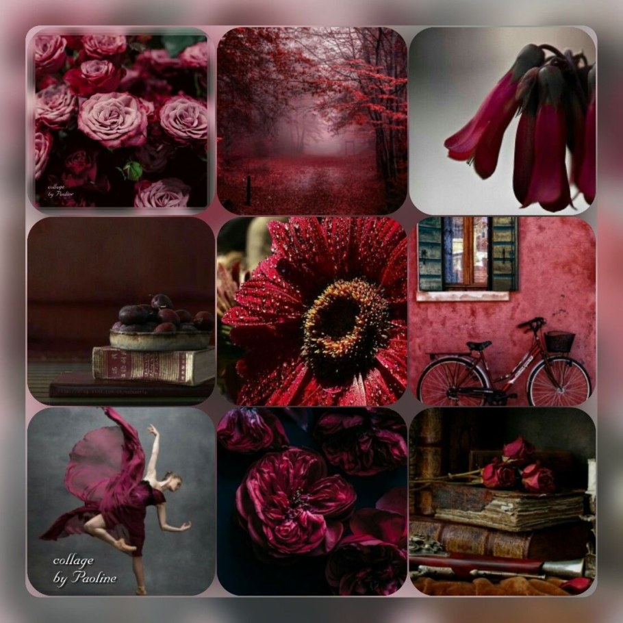 В бордовом цвете вещи