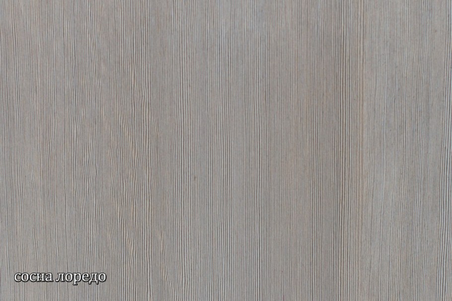 Сосна лоредо Ламарти