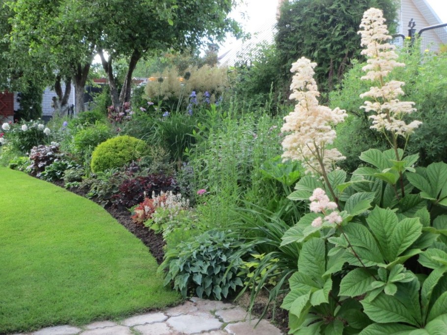 Роджерсия конскокаштанолистная