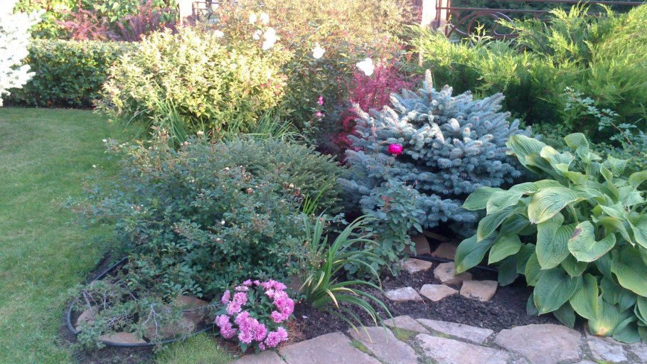 Миксбордер астильба Ирис гейхера