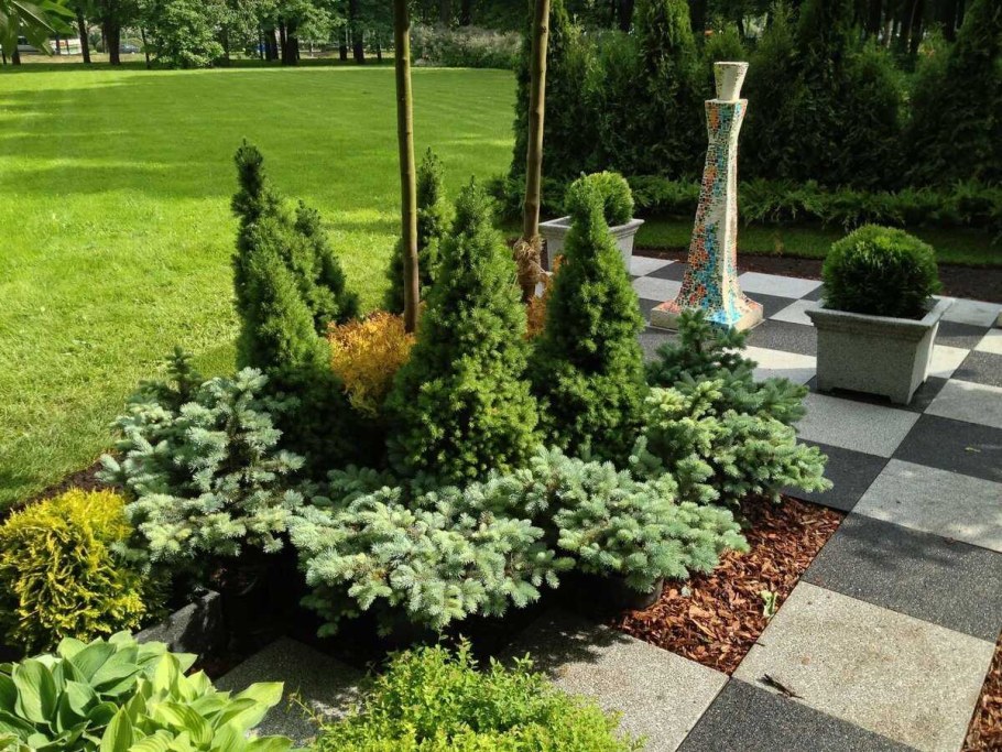 Туя можжевельник ландш