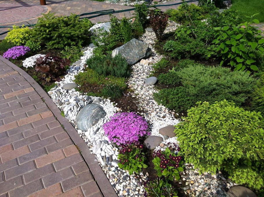 Флокс шиловидный в рокарии