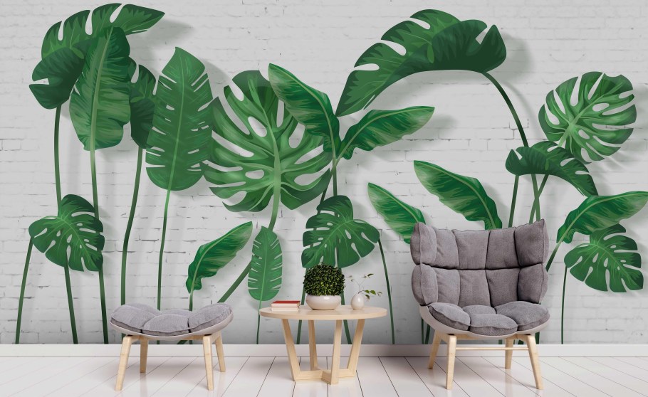 Монстера e98283