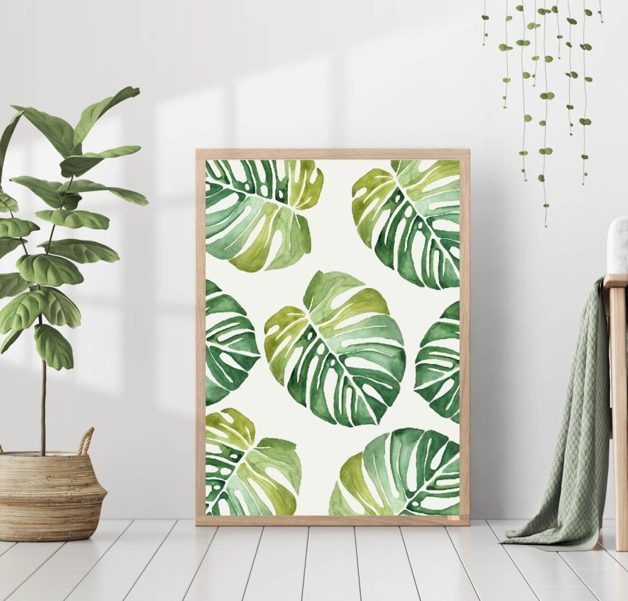 Постер «лист монстеры»