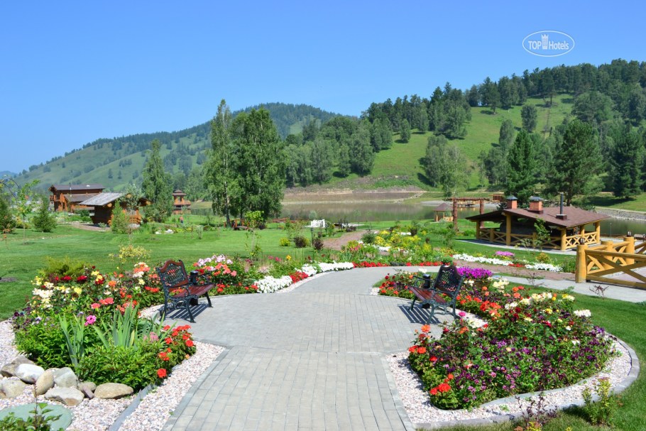 Сад пионов горный Алтай официальный сайт