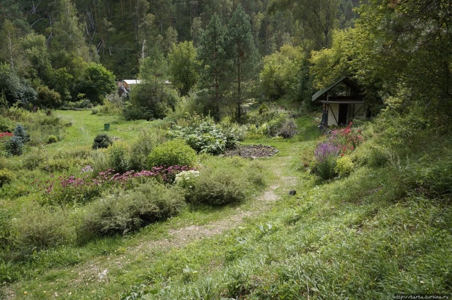 Сад пионов Чепош