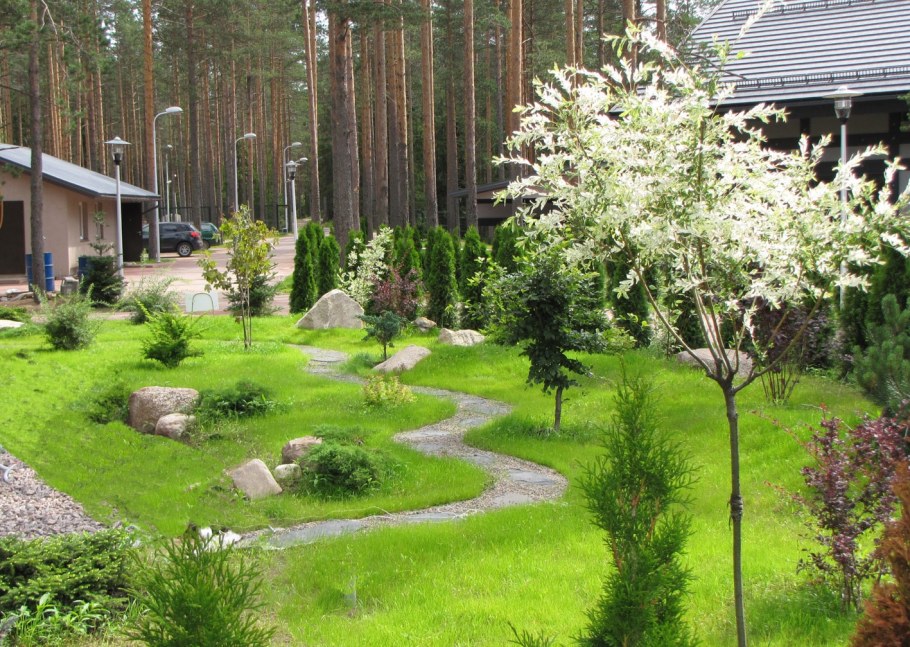 Ландшафт лесного участка с соснами Урал