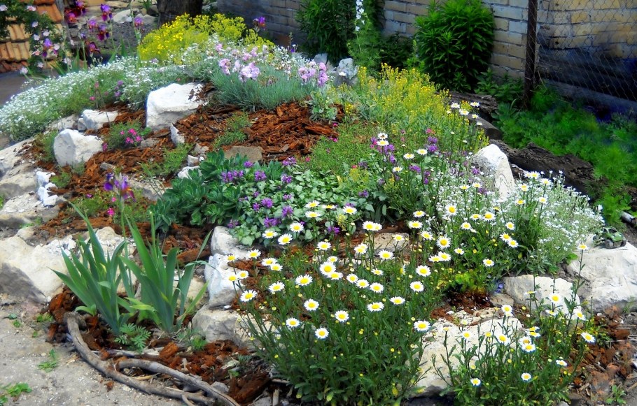 Гацания на альпийской Горке