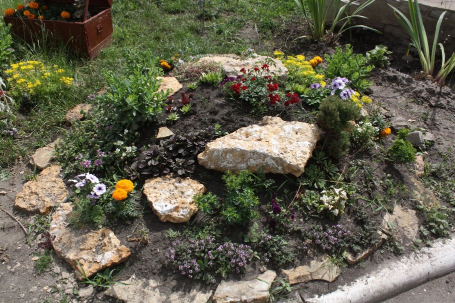 Альпийские горки клумбы