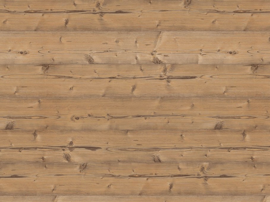 Пихта Брамберг Egger