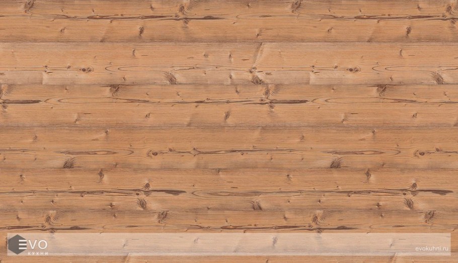 H1487 st22 пихта Брамберг