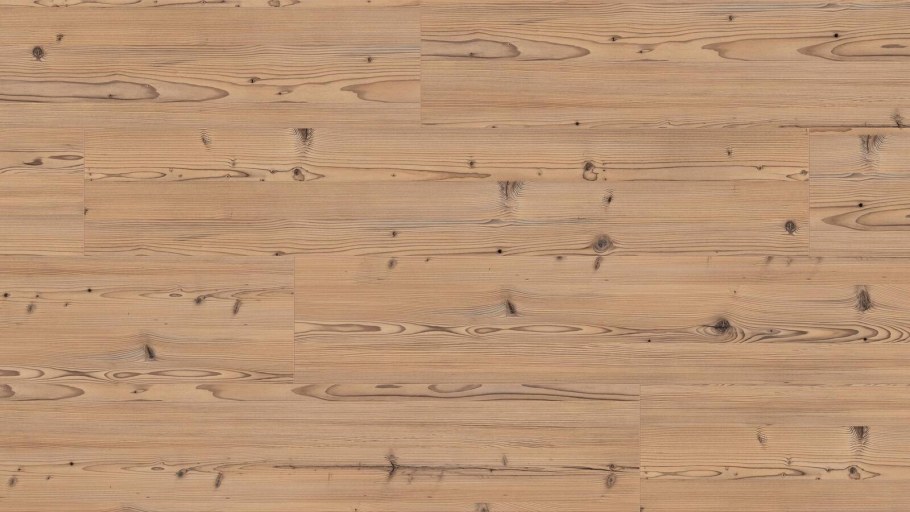 H1487 st22 пихта Брамберг