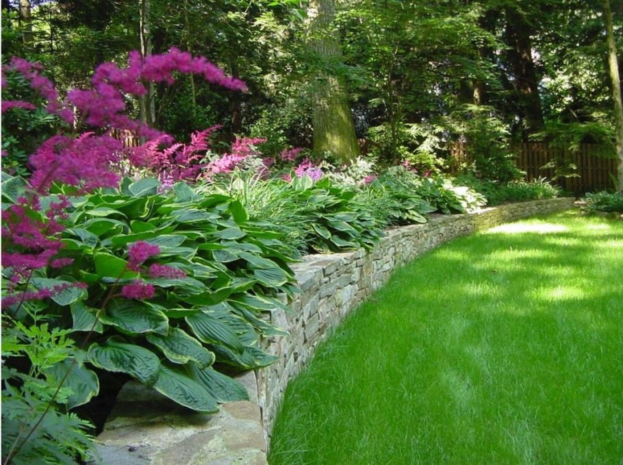 Клумба Хоста и астильба