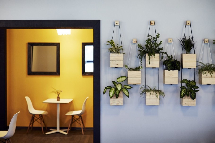 Декорация стены в офисе