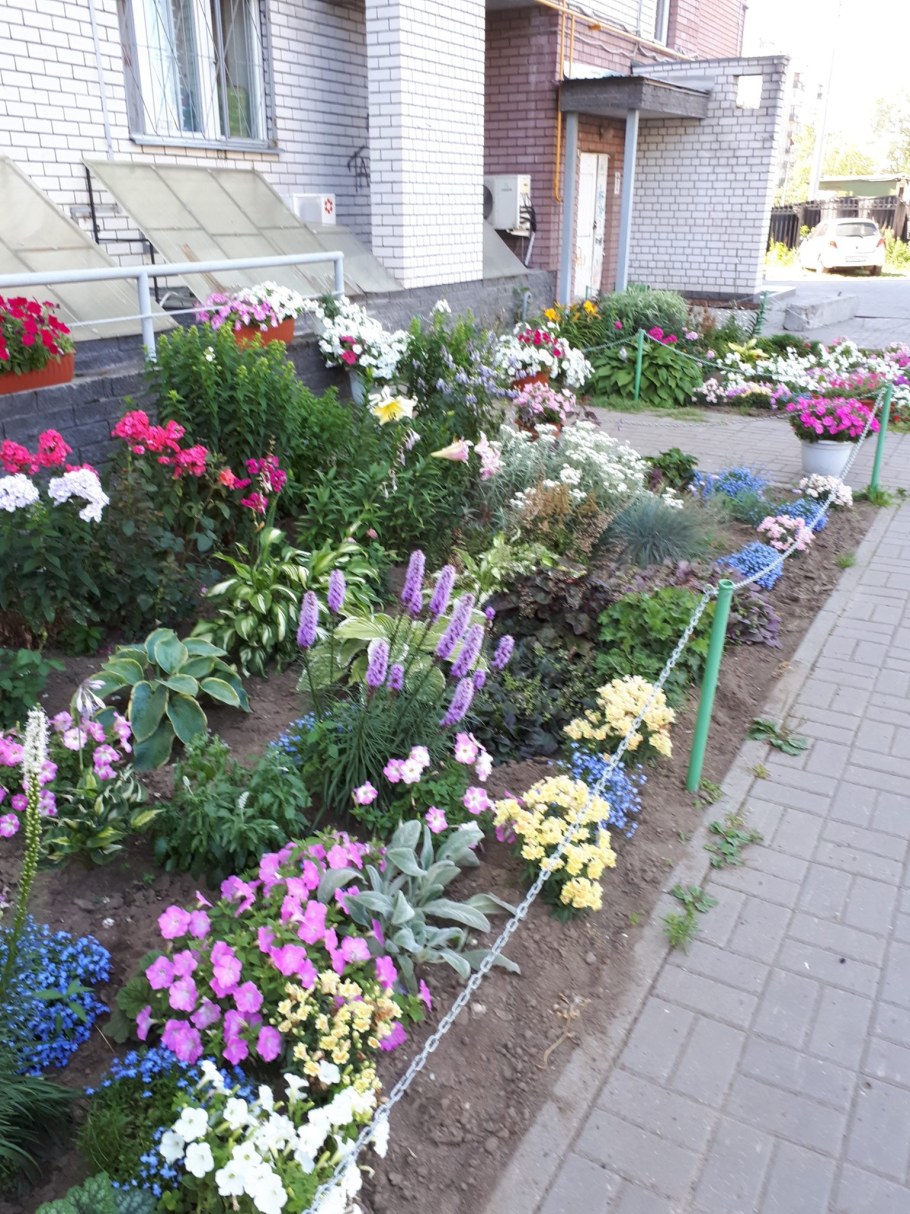 Бабушкин палисадник клумба палисадник