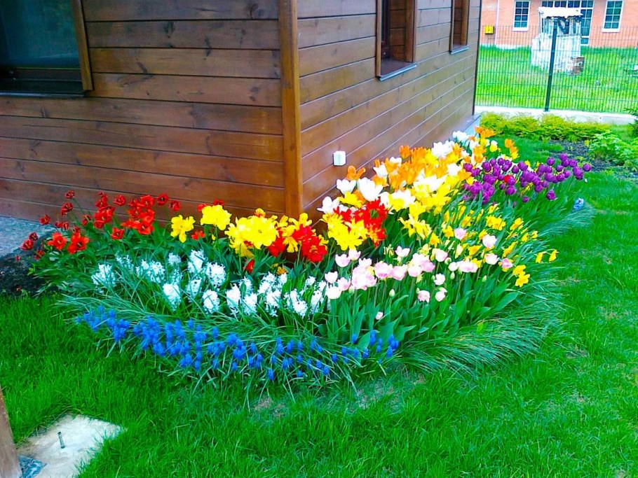 Палисадник клумба цветник