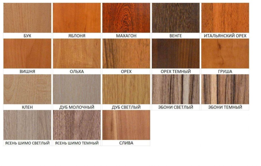 Цвета древесины для мебели