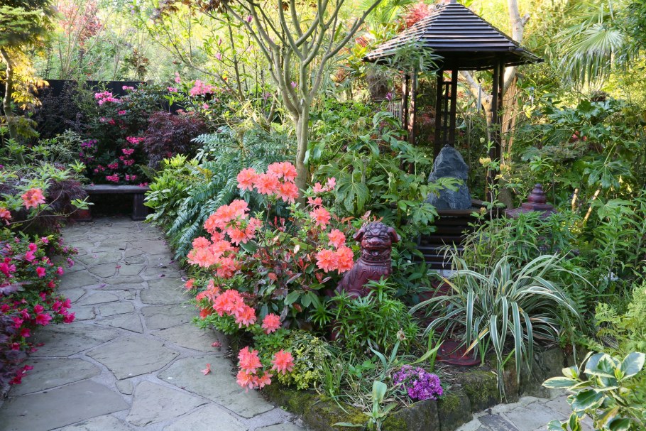 Рододендрон Азалия в ландшафтном