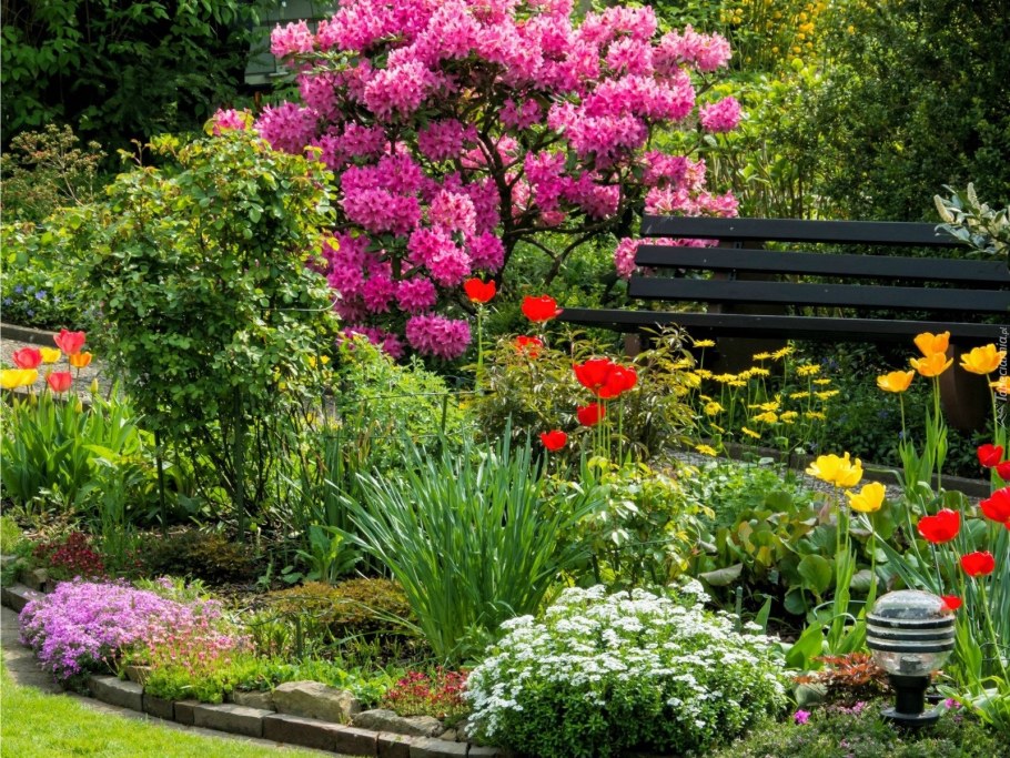 Азалия рододендрон Ландшафтная композиция