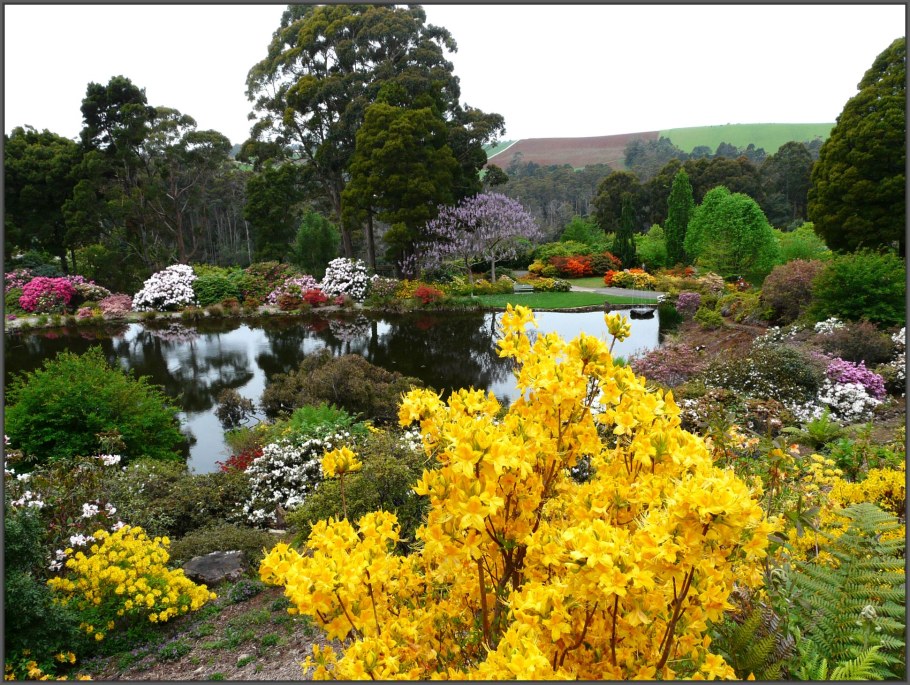 Сад азалий (Azalea Garden). В Кью