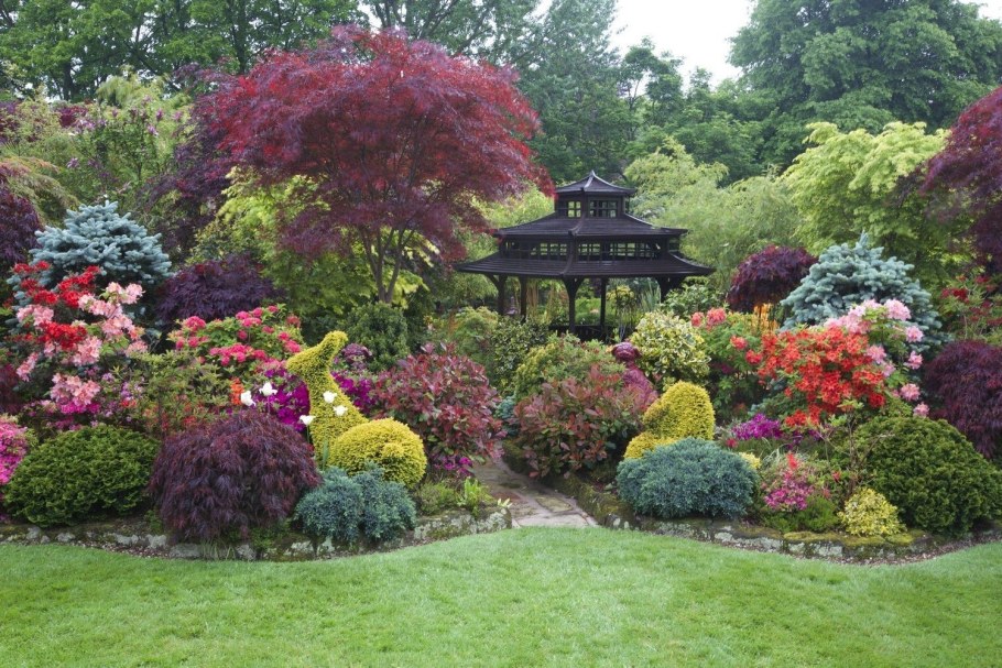 Рододендрон и гортензия