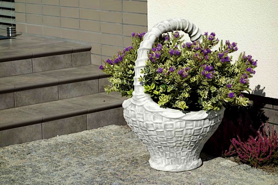 Вазон Акант (Dominican Garden)