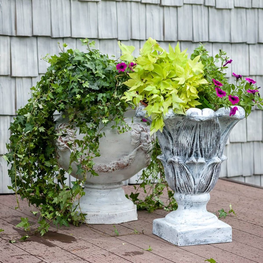 Композиции в вазонах