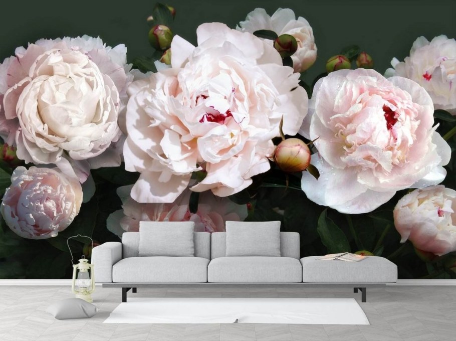 Пион Магнифика