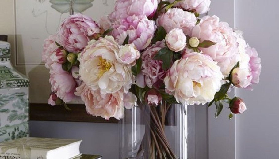 Итальянские пионы