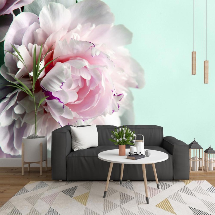 Пионы в Леруа Мерлен