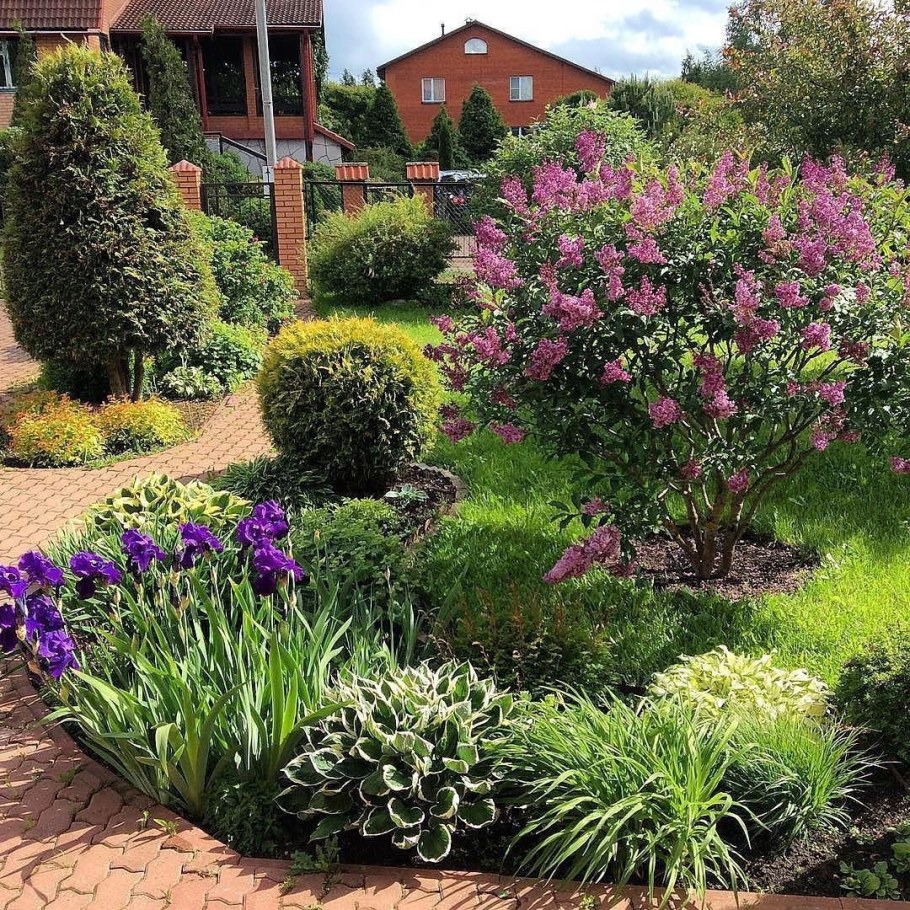 Вейгела в миксбордере