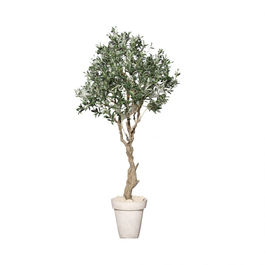 Искусственное дерево олива