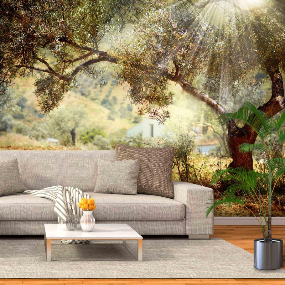 Фотообои оливковое дерево