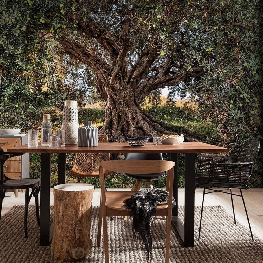 Олива дерево в интерьере