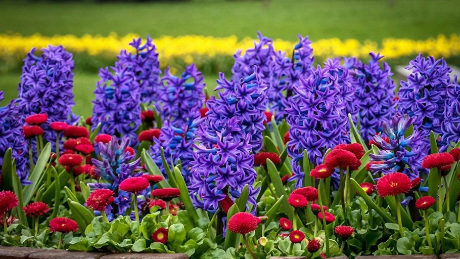Мускари крокусы гиацинты