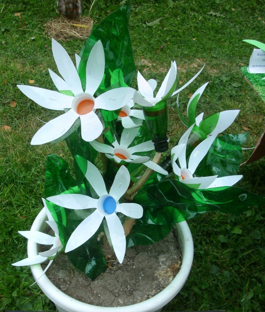 Цветы из пластиковых бутылок