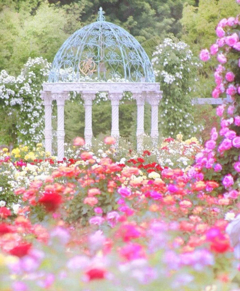 Цветы у беседки