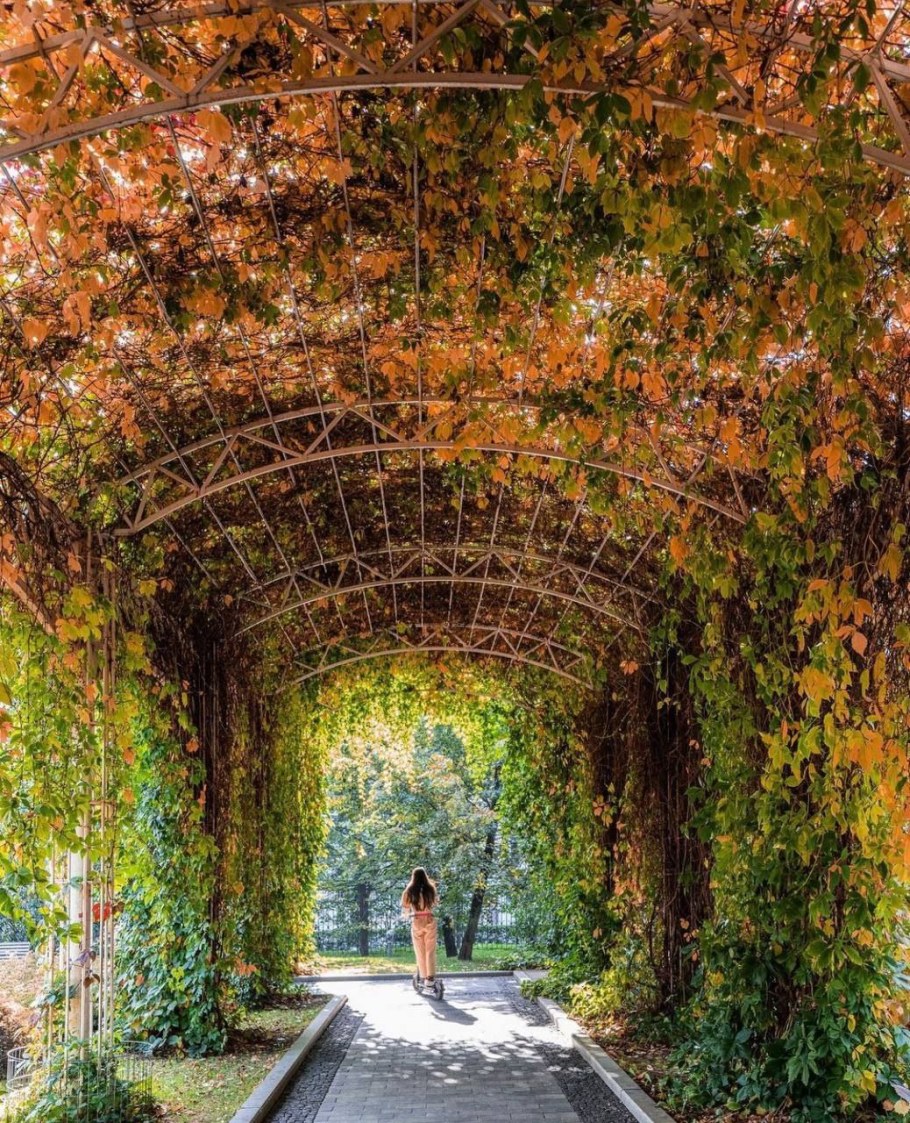 Арка с листьями