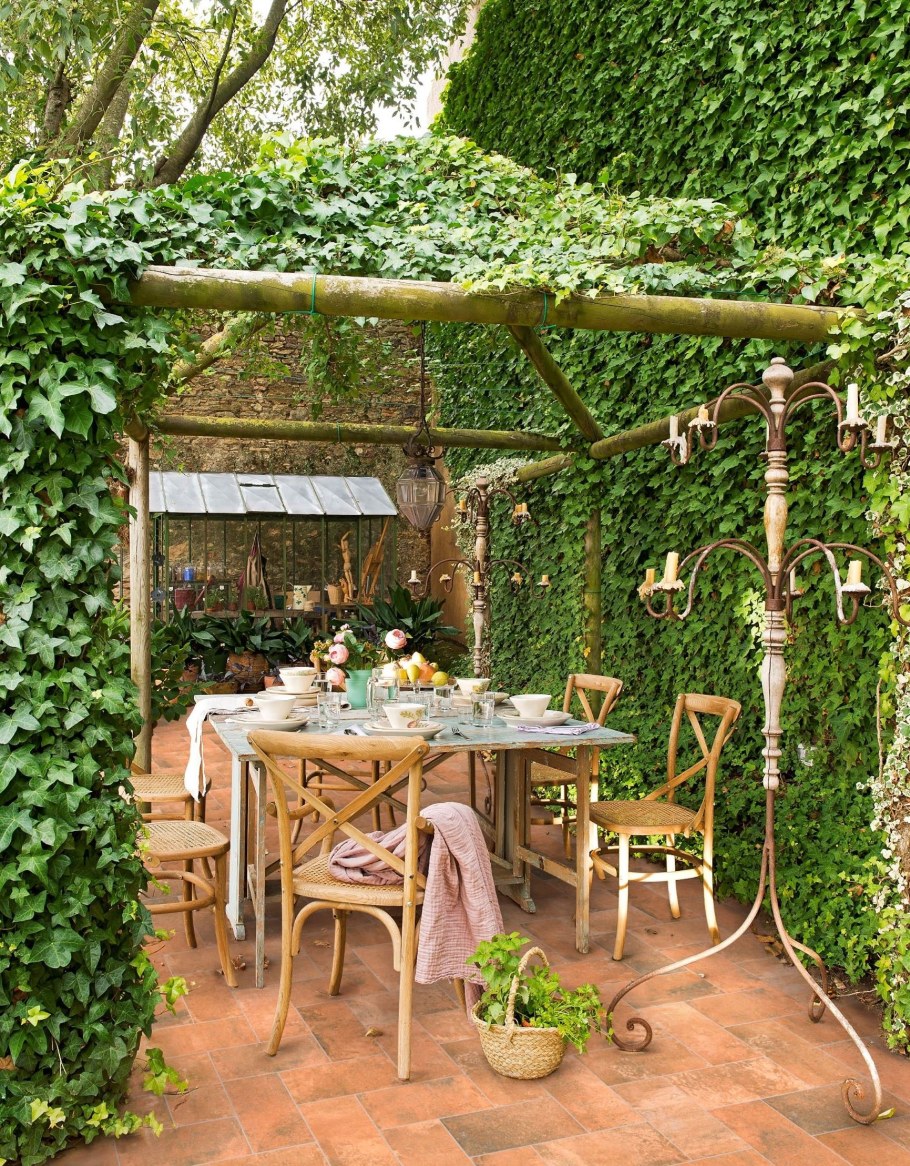 Девичий виноград на перголе